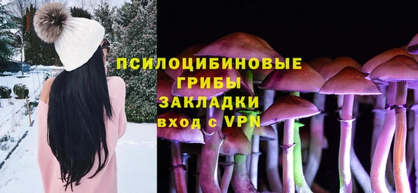 МДПВ Алзамай