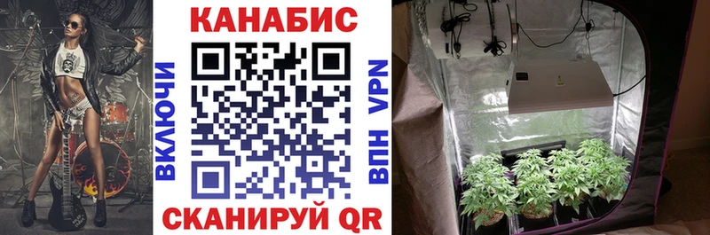 Шишки марихуана SATIVA & INDICA  Старый Оскол 